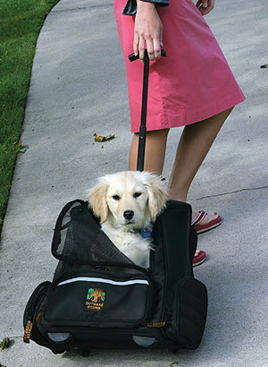 Trolley/rugzak tot 10kg