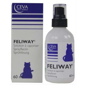 feliway spray kat