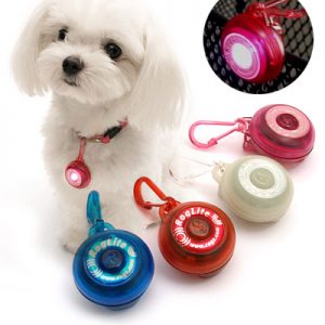 Lampje voor aan de halsband