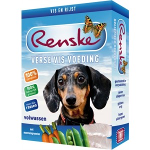 renske vis