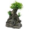 bonzai boom
