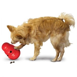 kong wobbler