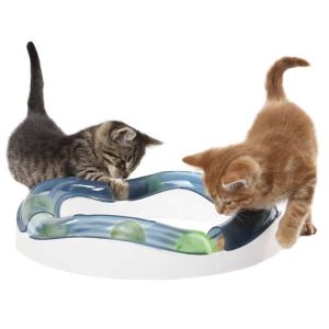 cat it speedcircuit