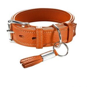 hunter halsband cannes oranje