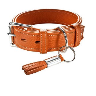 hunter halsband cannes oranje