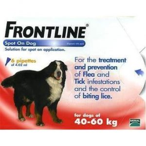 frontline XL +40kg spot on en combo