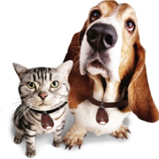 Tickless ultrasone vlooien en teken- verjager. Voor hond-Kat