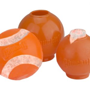 Chuck it hydro freeze ball
