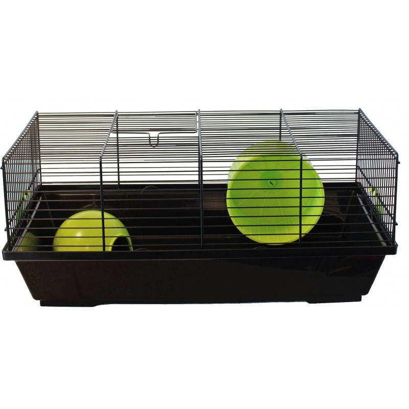 Hamsterooi zwart/lime