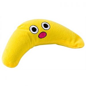 green magic boomerang petstages