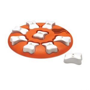 Nina otterson smart bone