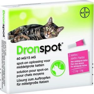 Dronspot kleine katten M